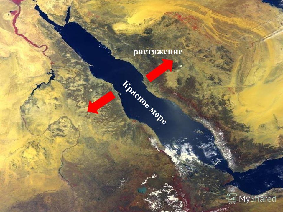 (Red Sea)